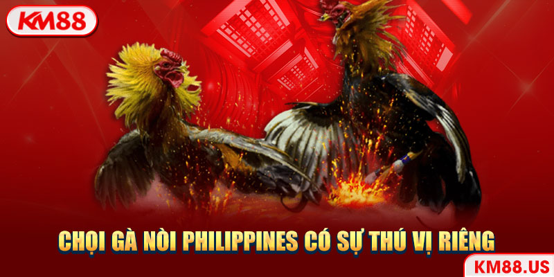 Chọi gà nòi Philippines có sự thú vị riêng