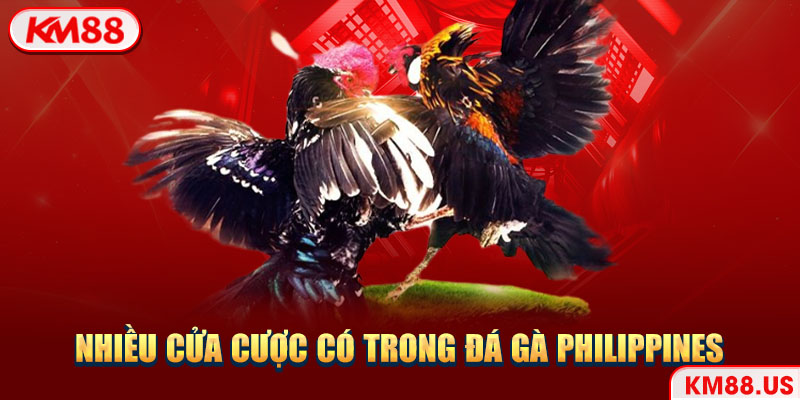 Nhiều cửa cược có trong đá gà Philippines