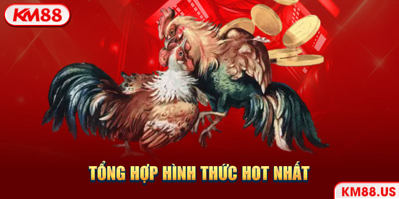 Tổng hợp hình thức hot nhất